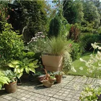 GS621445.jpg