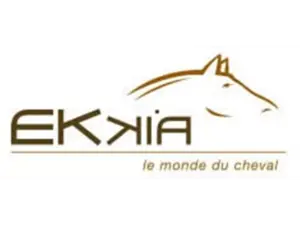 Ekkia-r1-850x637-auto